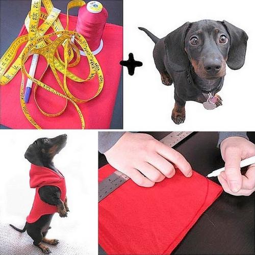 Можно ли использовать готовые выкройки для человеческой одежды, адаптируя их для собак. Выкройки одежды для собак