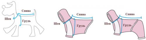 Как выбрать правильный размер свитера для собаки малой породы. Кошки
