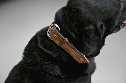 Пошаговое руководство по вязанию одежды для собак крючком 02 Пошаговое руководство по вязанию одежды для собак крючком 02