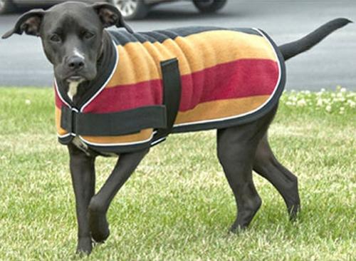 Можно ли использовать готовые выкройки для человеческой одежды, адаптируя их для собак. Выкройки одежды для собак