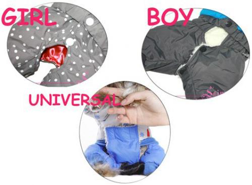 Как выбрать правильный размер свитера для собаки малой породы. Кошки