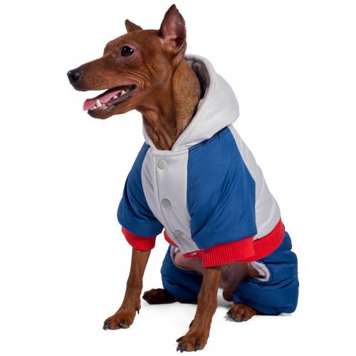 Базовый свитер для собак малых пород: полезные советы по выбору и уходу 10 Базовый свитер для собак малых пород: полезные советы по выбору и уходу 10