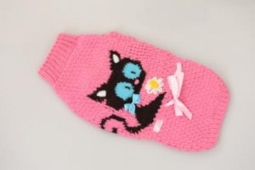 Как правильно подобрать цвет пряжи для свитера вашего питомца. Свитер для кошки крючком