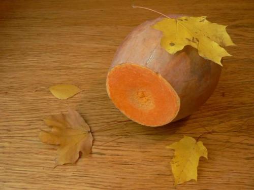 Как сделать осенние поделки самостоятельно. Осенние поделки (150 фото) — пошаговая инструкция для детей разного возраста, идеи оригинальных изделий своими руками