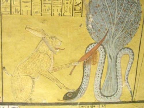 Кот животное священное. Почему в Древнем Египте кошек считали священными животными?
