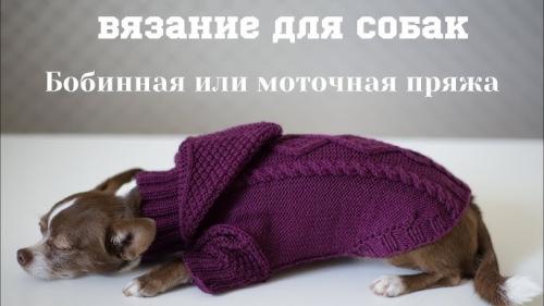 Какие виды пряжи лучше всего подходят для вязания одежды для собак. Какую пряжу выбрать для собак: 59 фото