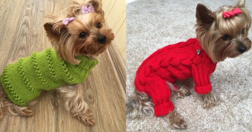 Какие виды пряжи лучше всего подходят для вязания одежды для собак. Какую пряжу выбрать для собак: 59 фото