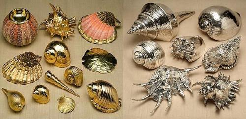 Каким лаком покрыть ракушки, чтобы блестели. Покрытие ракушек лаком 06 Каким лаком покрыть ракушки, чтобы блестели. Покрытие ракушек лаком 06