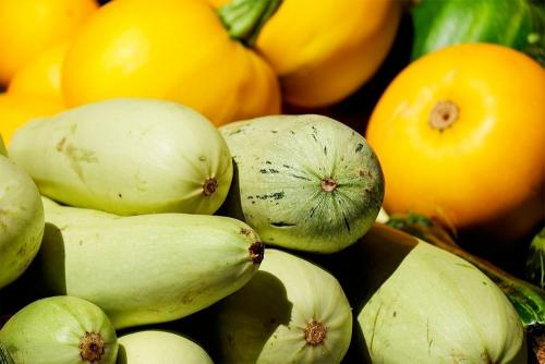 Вяленые кабачки в электросушилке: простой и вкусный рецепт 04 Вяленые кабачки в электросушилке: простой и вкусный рецепт 04