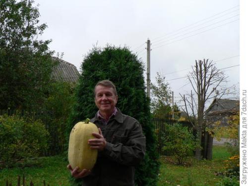 Как определить, что кабачки полностью высушены. Как сохранить кабачки подольше. Размышления о рекомендациях и своём опыте, который cын ошибок...