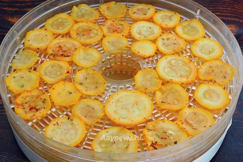 Чипсы из кабачков в электросушилке