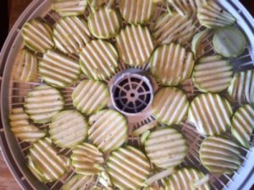 Как избежать пригорания чипсов из кабачков в электросушилке. Домашние кабачковые чипсы