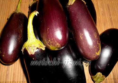 Чем отличается вкус сушеных баклажанов от свежих. Сушка баклажанов в электросушилке