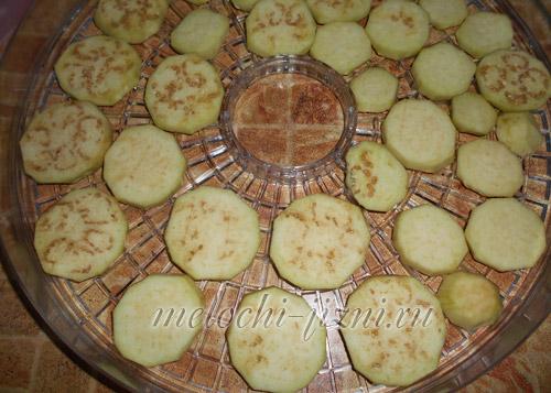 Чем отличается вкус сушеных баклажанов от свежих. Сушка баклажанов в электросушилке