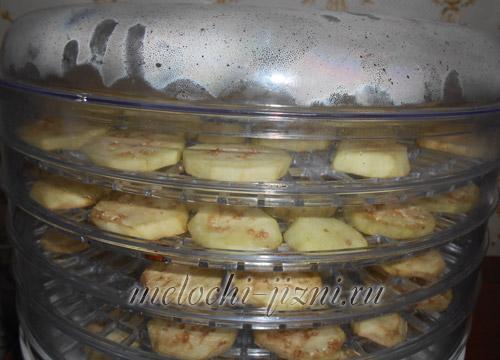 Чем отличается вкус сушеных баклажанов от свежих. Сушка баклажанов в электросушилке