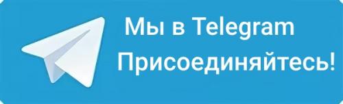 Поделка зимние фантазии. Поделки на тему Зима: 175 идей, мастер-классы в детский сад и школу