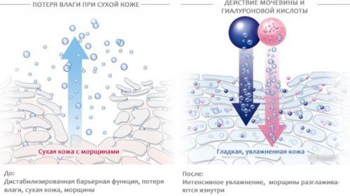 Дешевое аптечное средство от морщин вокруг глаз. Классификация аптечных средств от морщин