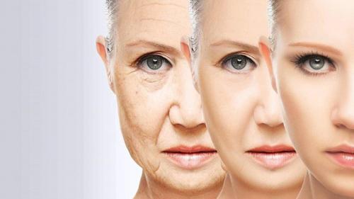 Сильная маска от морщин. Эффективные домашние Маски от глубоких морщин для лица