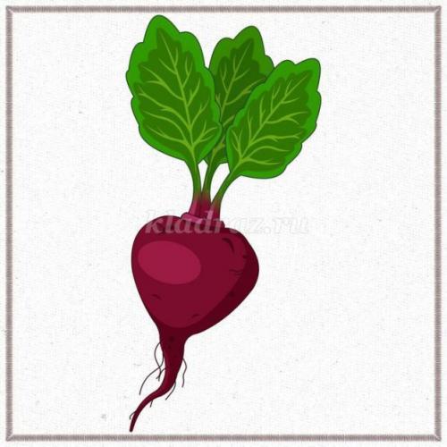 Детские стихи про овощи и фрукты с картинками. Стихи про овощи и фрукты 08 Детские стихи про овощи и фрукты с картинками. Стихи про овощи и фрукты 08