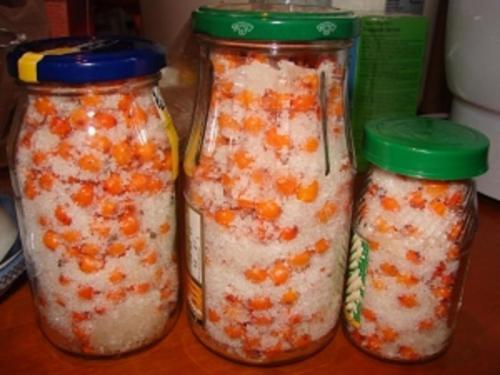 Облепиха масло заготовки на зиму рецепты. Облепиха на зиму: 7 лучших рецептов приготовления