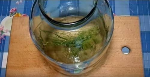 Какие арбузы можно использовать для засолки. Соленые арбузы в банках на зиму (ну очень вкусные рецепты)