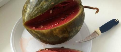 Как засолить арбуз быстро. Соленый арбуз – 4 рецепта засолки