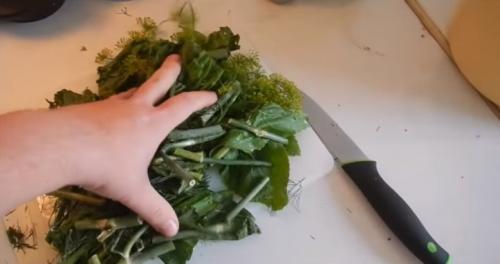 Как засолить арбуз быстро. Как засолить арбузы кусочками в кастрюле, ведре или банке?