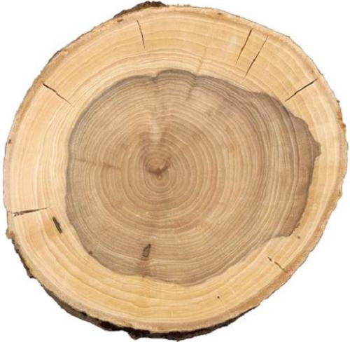 Что можно сделать из плодов красной рябины. Варенье из красной рябины 05