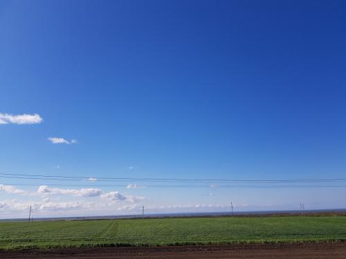 Кто понял жизнь, тот больше не спешит картинки. Кто понял жизнь тот больше не спешит