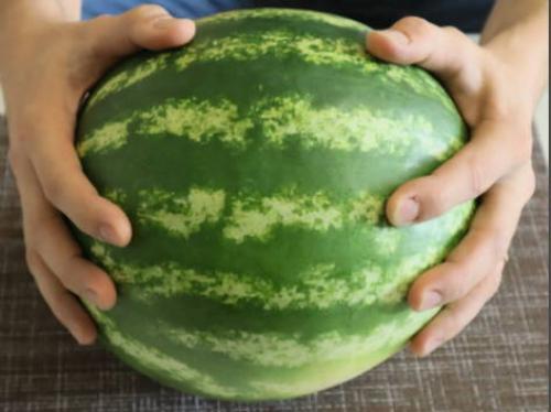 Арбузы солёные в банках без стерилизации. Соленые арбузы в банках без стерилизации на зиму 30