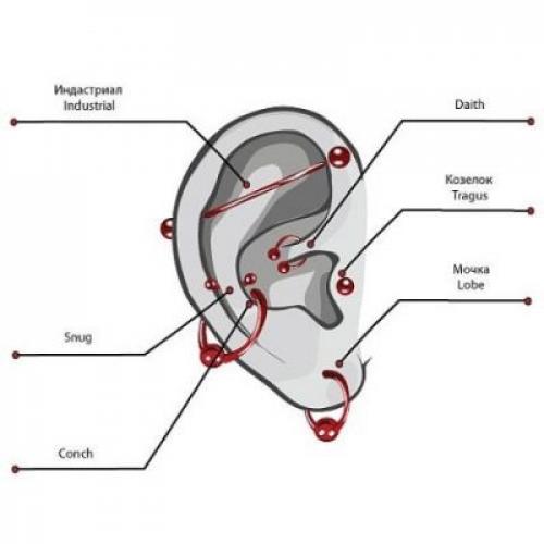 Как выбрать иглу для пирсинга. Как выбрать украшение для пирсинга: по размеру, материалу, типу прокола