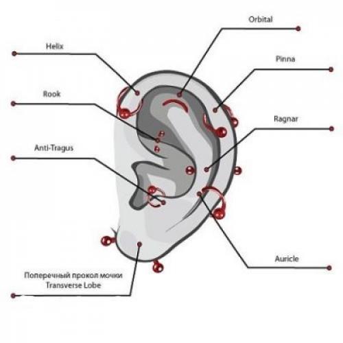 Как выбрать иглу для пирсинга. Как выбрать украшение для пирсинга: по размеру, материалу, типу прокола