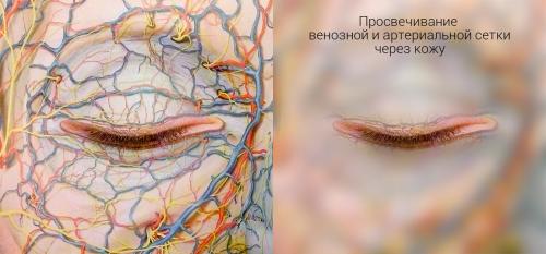 Тонкая кожа под глазами. Что делать (и НЕ делать) с кожей вокруг глаз 03 Тонкая кожа под глазами. Что делать (и НЕ делать) с кожей вокруг глаз 03