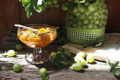 Варенье из крыжовника рецепт. 20 рецептов ароматного варенья из крыжовника