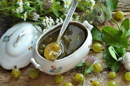 Варенье из крыжовника рецепт. 20 рецептов ароматного варенья из крыжовника