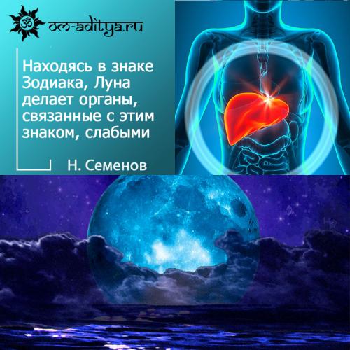 Органы знаков Зодиака. Связь различных органов и систем организма со знаками Зодиака