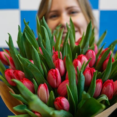 Какие растения посадить дома по знаку зодиака. Рак (22 июня — 22 июля) 05 Какие растения посадить дома по знаку зодиака. Рак (22 июня — 22 июля) 05