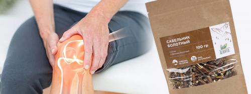 Сабельник для заживления ран: новый способ лечения ран 06 Сабельник для заживления ран: новый способ лечения ран 06