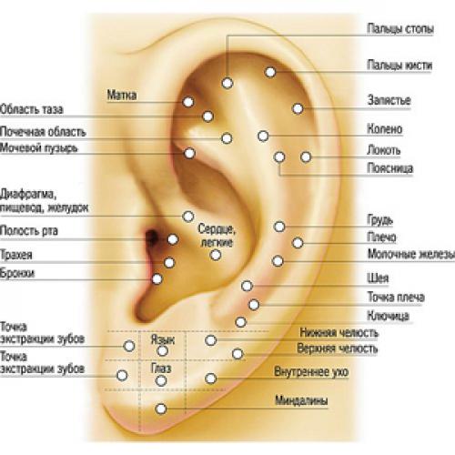 Как прокалывают уши пистолетом. Прокол ушек пистолетом Studex Описание процедуры по порядку)