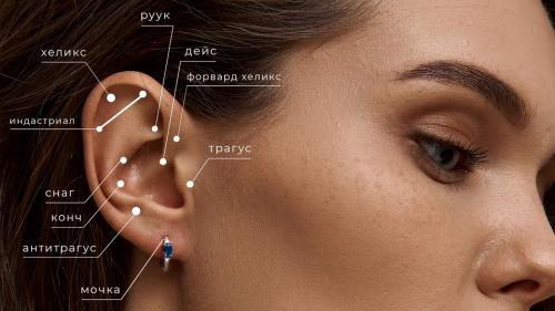 Названия пирсинга ушей с картинками на русском. Виды пирсинга уха