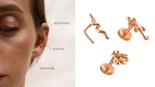 Названия пирсинга ушей с картинками на русском. Виды пирсинга уха