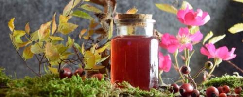 Сироп из сушеного шиповника в домашних условиях. Рецепты приготовления сиропов из ягод шиповника