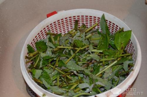 Варенье из мяты с желатином. Рецепт: Мятное варенье - с желатином