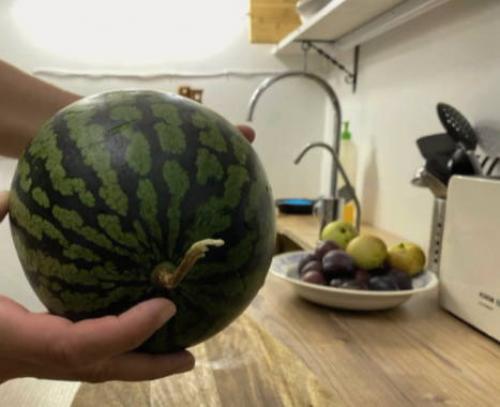 Как посолить арбузы в кастрюле. Солёные арбузы 08 Как посолить арбузы в кастрюле. Солёные арбузы 08