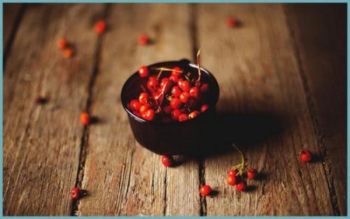 Какие другие заболевания можно лечить с помощью красной рябины. Целебные свойства рябины