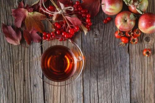 Как приготовить настойку из калиной. Рецепты настоек