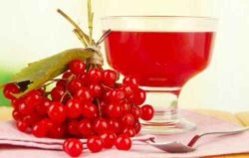 Как использовать настойку из калиной для лечения. 4 рецепта лекарственных средств на ее основе