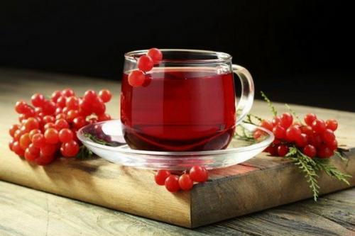 Лечение калиной: народные рецепты для здоровья и красоты 01