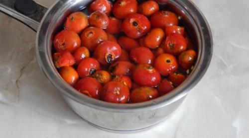 Как хранить приготовленный сироп шиповника. Как сварить сироп из сухого шиповника. Пошаговый фото рецепт того, как сделать сироп из шиповника в домашних условиях на зиму