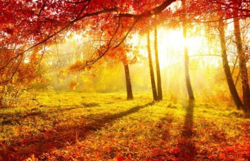 Как Семенов день приметы празднуется в разных регионах России. 14 сентября – Семён-летопроводец: традиции и обычаи